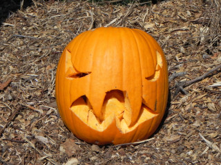 Unchewed Food, Nipomo Pumpkin Patch best carving idea